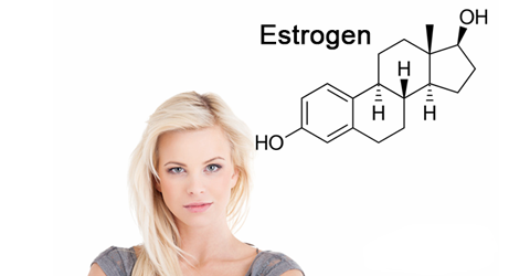 Nội tiết tố nữ chủ yếu là estrogen